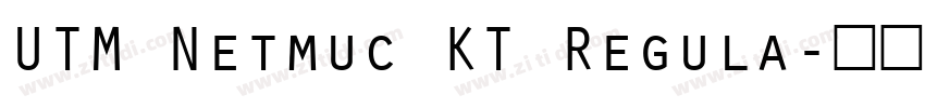 UTM Netmuc KT Regula字体转换